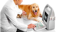 Assistência Tecnica Ultrassom Veterinário